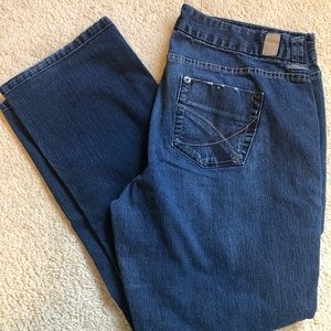Maurices Dafne Straight Leg Jeans 16
